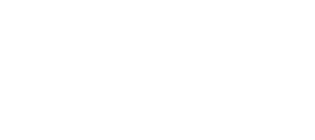 Ai Partner